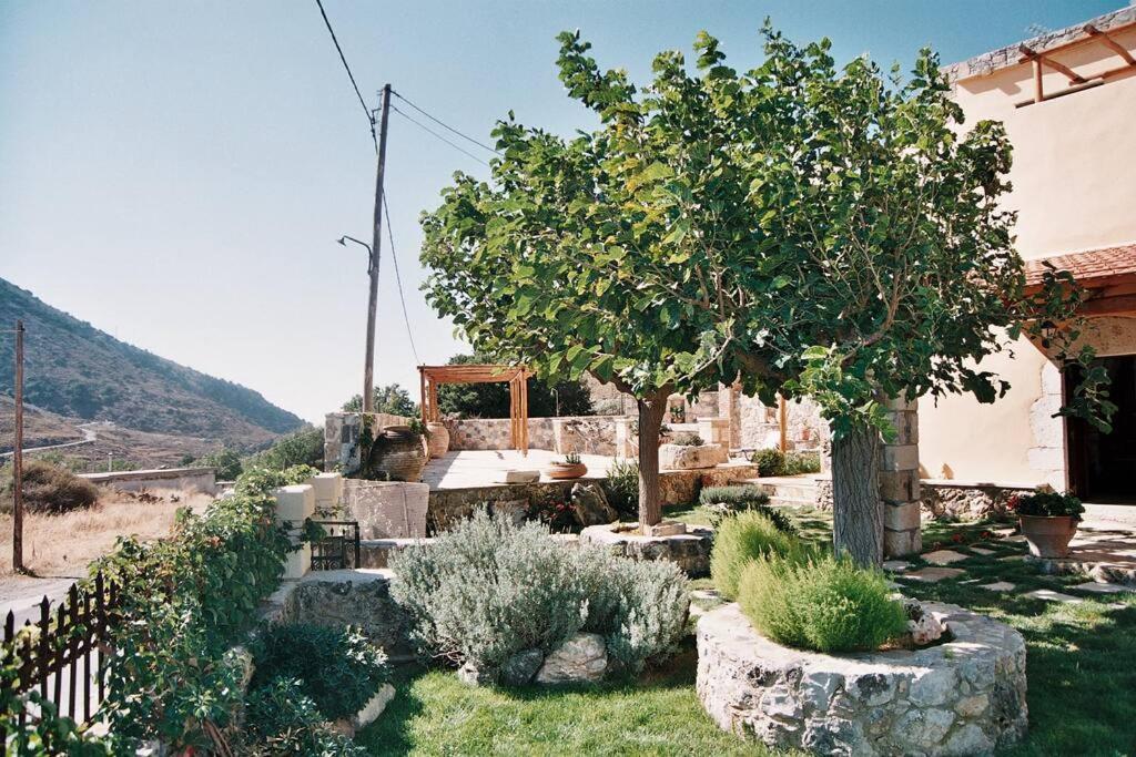 Traditional Villa With Pool In Sfakia Imbros Exteriér fotografie